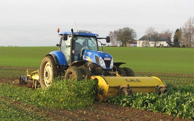 Effeuilleuse à betteraves occasion de marque CMG