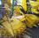 Becs pour ensileuse John Deere 475