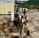 Mini-pelle Bobcat MINIPELLE 2,6T X 325