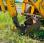Tractopelle rigide Jcb 2 CX