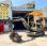 Mini-pelle Volvo EC15 B XT