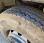 Pour semi-remorque Iveco 450