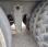 Plateau Scania R420