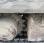 Pelle  Yanmar Vio80-U
