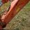 Pelle  Hitachi ZX135US-3