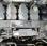 Pelle de manutention Liebherr A 904 C Litronic