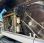 Pelle  Liebherr A914 Compact