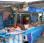 REMORQUE MAGASIN MARCHE POISSON 5M00 - N° 11610