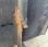 Curage rotatif JCB 3200 litres 2.6 m Qfit