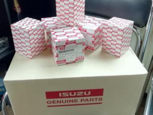 ISUZU TRUCKS NKR NPR L35 M21