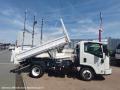 Benne basculante de chantier et de TP Isuzu N-SERIES