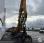 Pelle de manutention Liebherr A904 Industrie