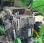 Tracteur agricole John Deere 6R