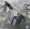 Curage rotatif BOBCAT COMBO BKT 62 4 EN 1 DROP
