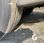 Fourgon avec parois et toit rigide Renault PREMIUM 320 DCI
