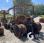 Tracteur agricole Massey Ferguson MF8S