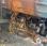 Tracteur agricole Ford 4600