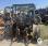 Tracteur agricole Claas Axos
