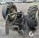 Tracteur agricole Renault ARES 610RZ