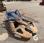 ARDEN CD042CB-R03SV CROC BETON CONCRET CRUSHER CONCRETE CUTTER JAW