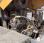 Chargeuse  Liebherr L556