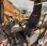 Pelle  Liebherr A900C