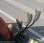  Heli CPCD30