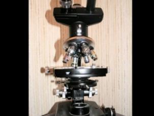 Microscope de Paillasse Wild Heerbrugg M20