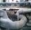 Plateau Renault Premium