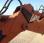 Tractopelle rigide Fiat Kobelco B95