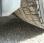 Pour semi-remorque Mercedes Actros