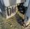 Benne basculante de chantier et de TP Benalu SEMI REMORQUE BENNE BENALU ACIER 38T 2016