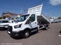 Benne basculante de chantier et de TP Ford Transit
