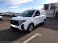 Fourgon avec parois et toit rigide Ford transit courier