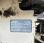 Chargeuse  Terex TL 70