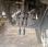 Porte-engins MAN TGS