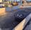 Plateau Iveco Daily