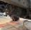 Pour semi-remorque DAF XF