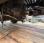 Pour semi-remorque DAF XF