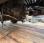 Pour semi-remorque DAF XF