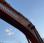 Pelle  Doosan DX420
