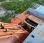 Pelle  Doosan DX420
