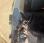 Pour semi-remorque Mercedes Actros