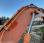 Pelle  Doosan DX420