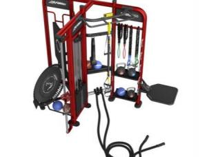 Life fitness cage cross training SYNRGY360T occasion a vendre Ocazoo