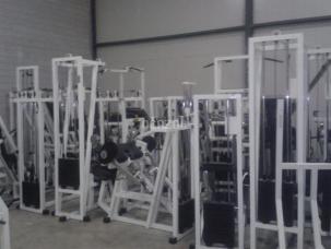 Lot de 15 machines Technogym Isotonic