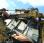 Tracteur agricole E119R TRACTEUR ERENAULT ERGOS 95 E479X EPAREUSE SMA JAGUAR 2052