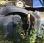 Pour semi-remorque RENAULT TRUCKS PREMIUM 420 DCI (P3000642) CQ 171 FK