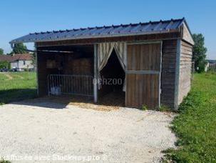 ABRI BOX 3X6 M ECO AVEC AUVENT RETOMBANT