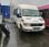 Autobus Iveco Daily